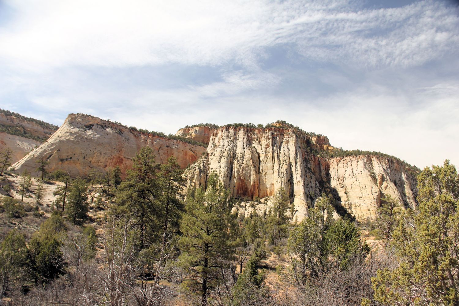 Mount Carmel Highway 